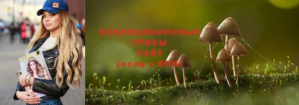 трава Кущёвская