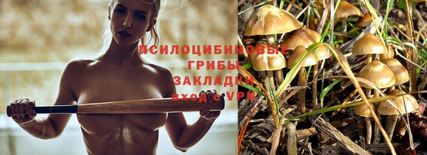 прущая мука Сковородино