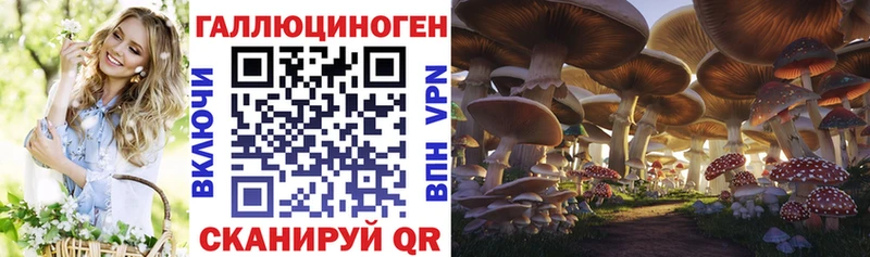 гидра рабочий сайт  Красково  Псилоцибиновые грибы Magic Shrooms 